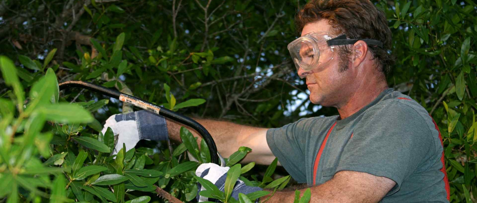 garden clearance DA18