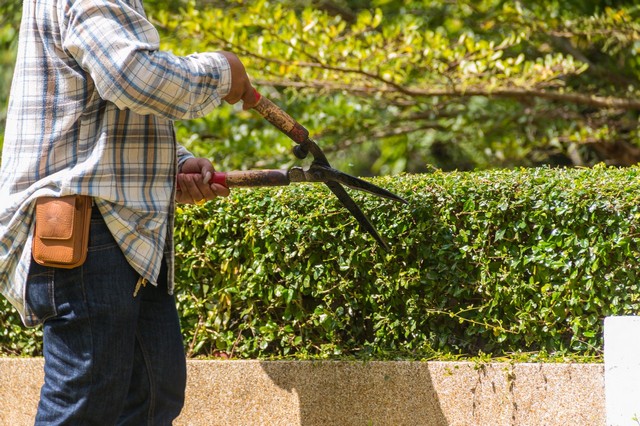 Garden Maintenance Erith Marshes, DA18
